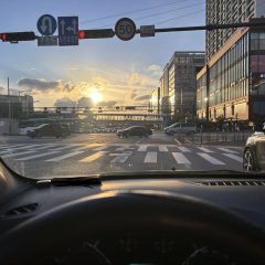 첫 highway 운전 성공! 소름 돋는 경험!