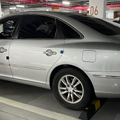 근처 시장 방문을 위한 연수