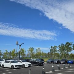 안산운전연수 후기 (장롱면허 탈출)