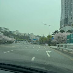 장거리 운전 완전 무서웠어요