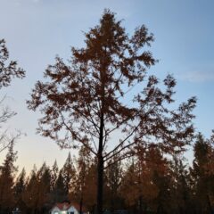 안산운전연수 완료 후기