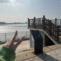 가성비 최고 코스