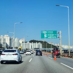 아침 운전이 진짜 무서워